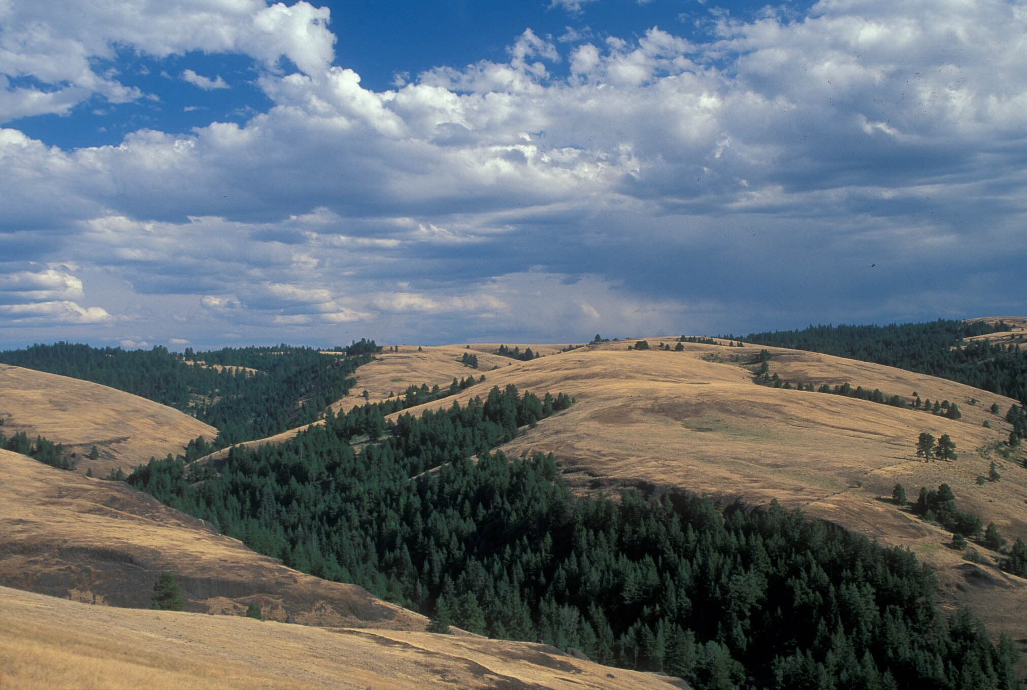Blue Mountain Scenic Byway (Oregon) — overland route near Heppner, Oregon, Oregon