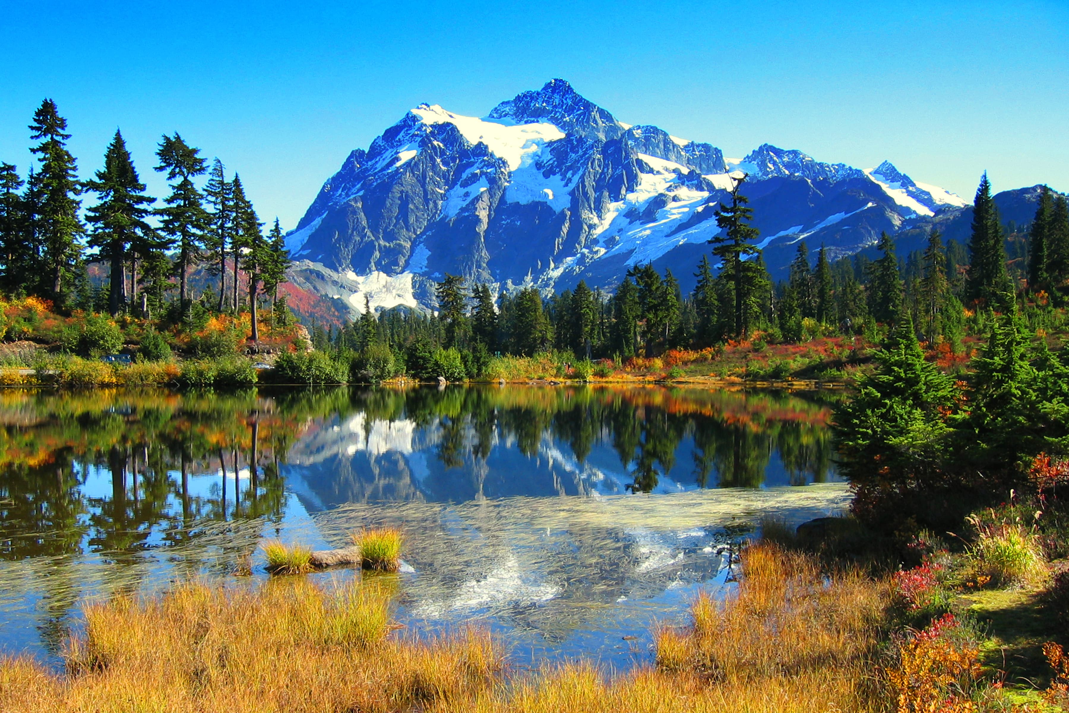 Mt. Baker Highway and Artist Point (SR 542) — overland route near Glacier, Washington, Washington