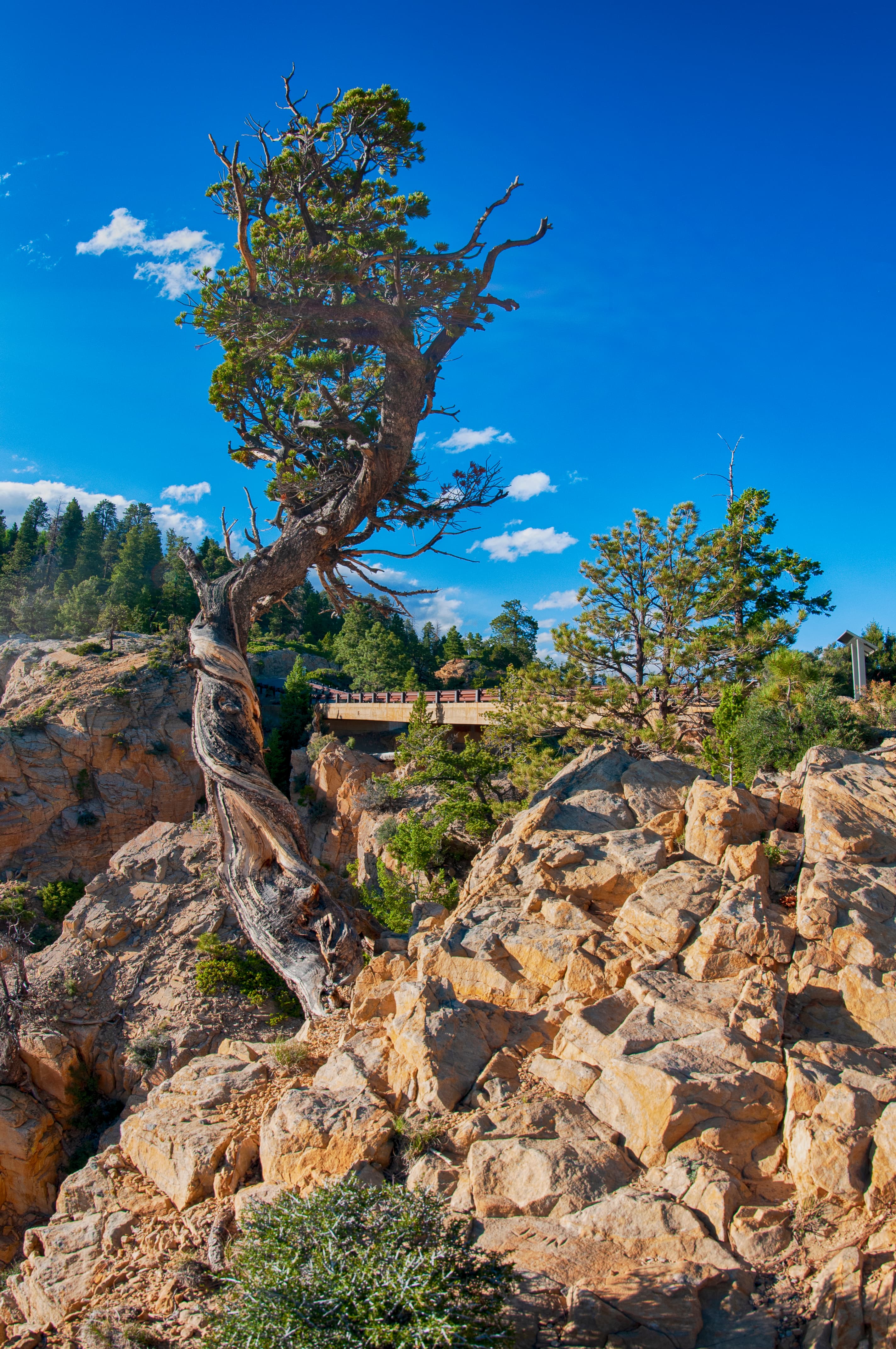 Hell's Backbone Road — overland route near Escalante, Utah, Utah