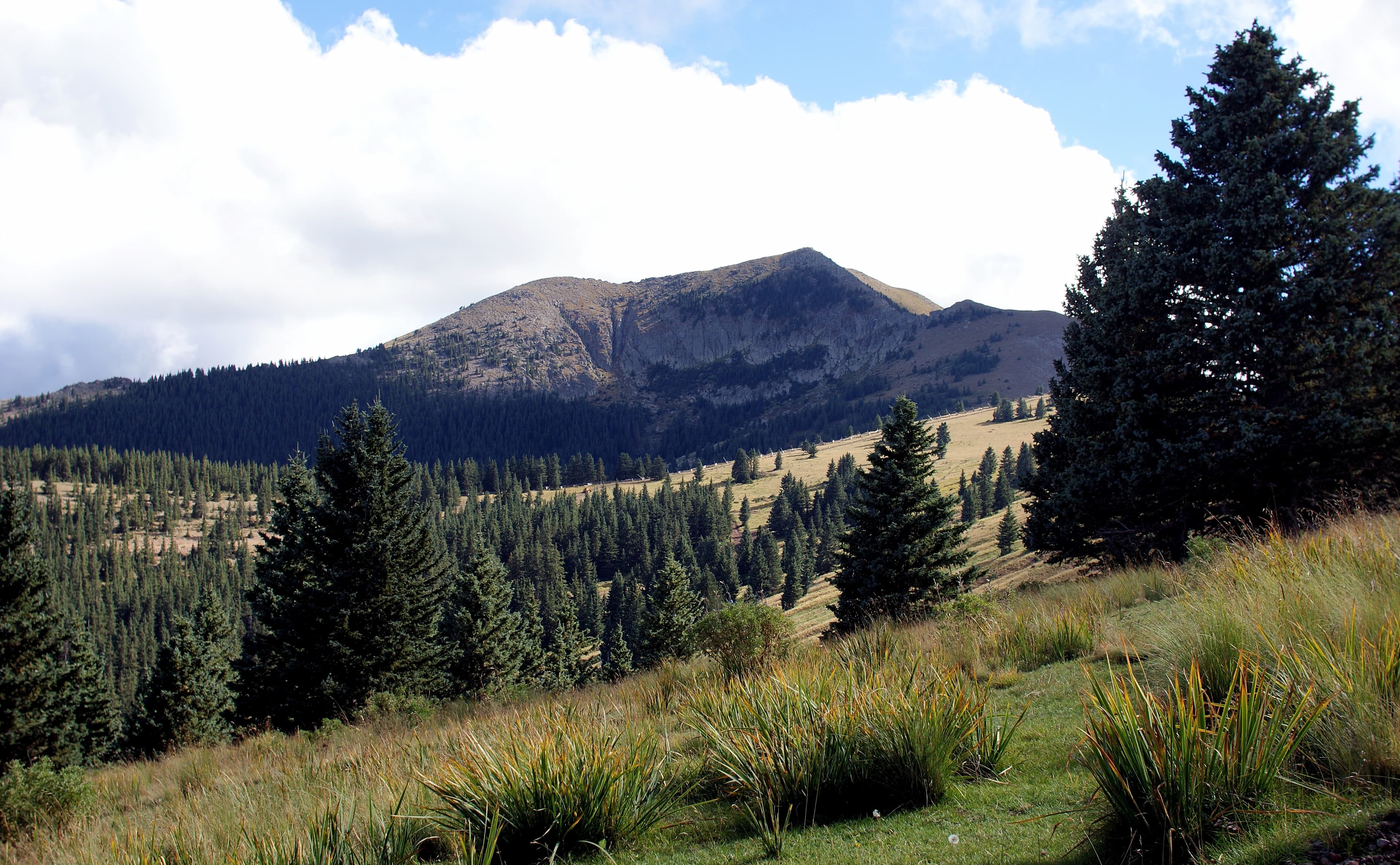 Monjeau Lookout Road (Forest Road 117) — overland route near Ruidoso, New Mexico, New Mexico