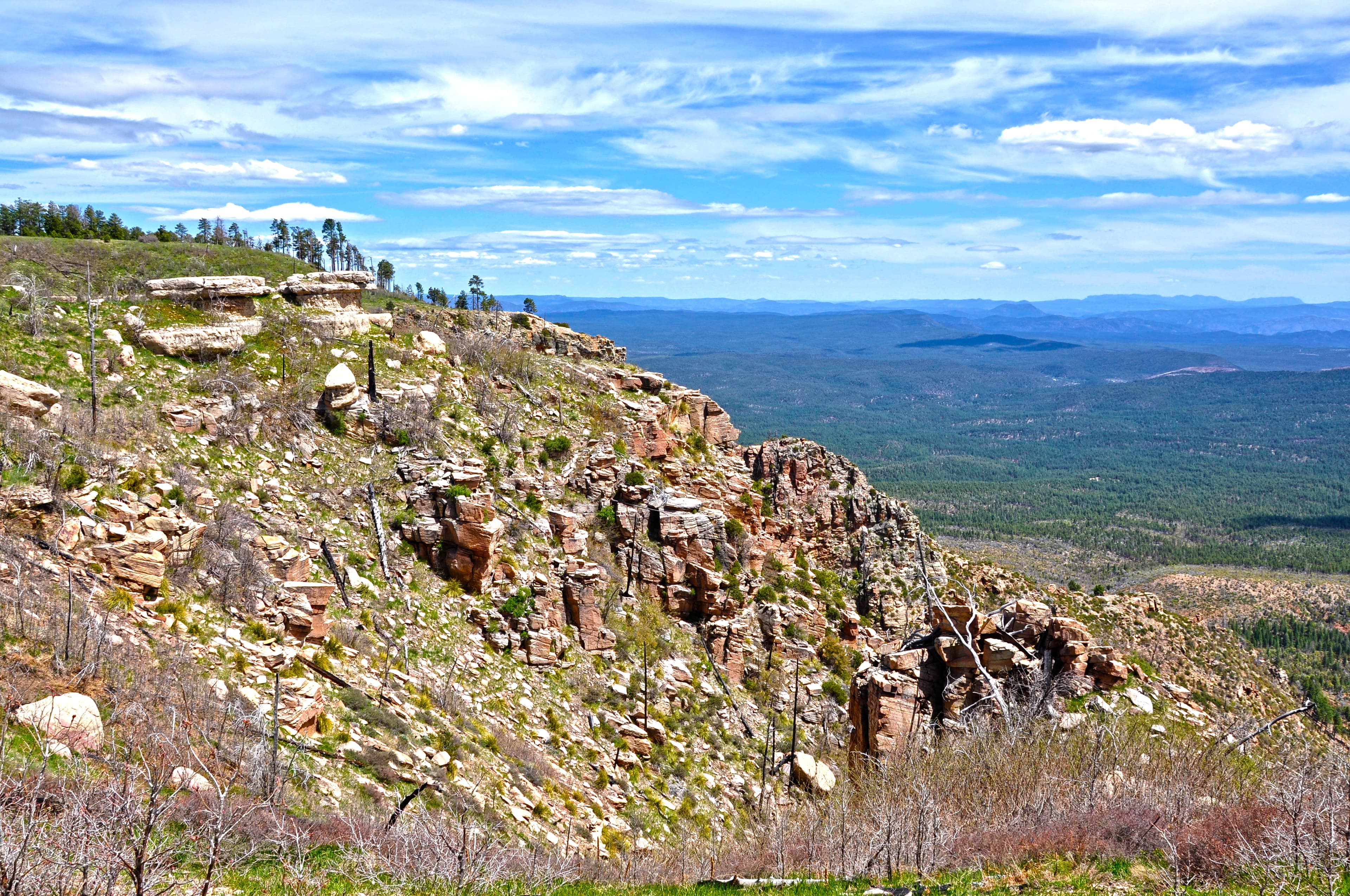 Mogollon Rim Overlanding — overland route near Payson, Arizona, Arizona