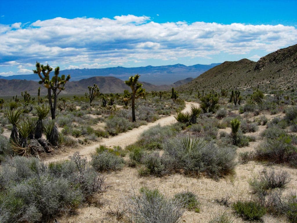 Mojave Road