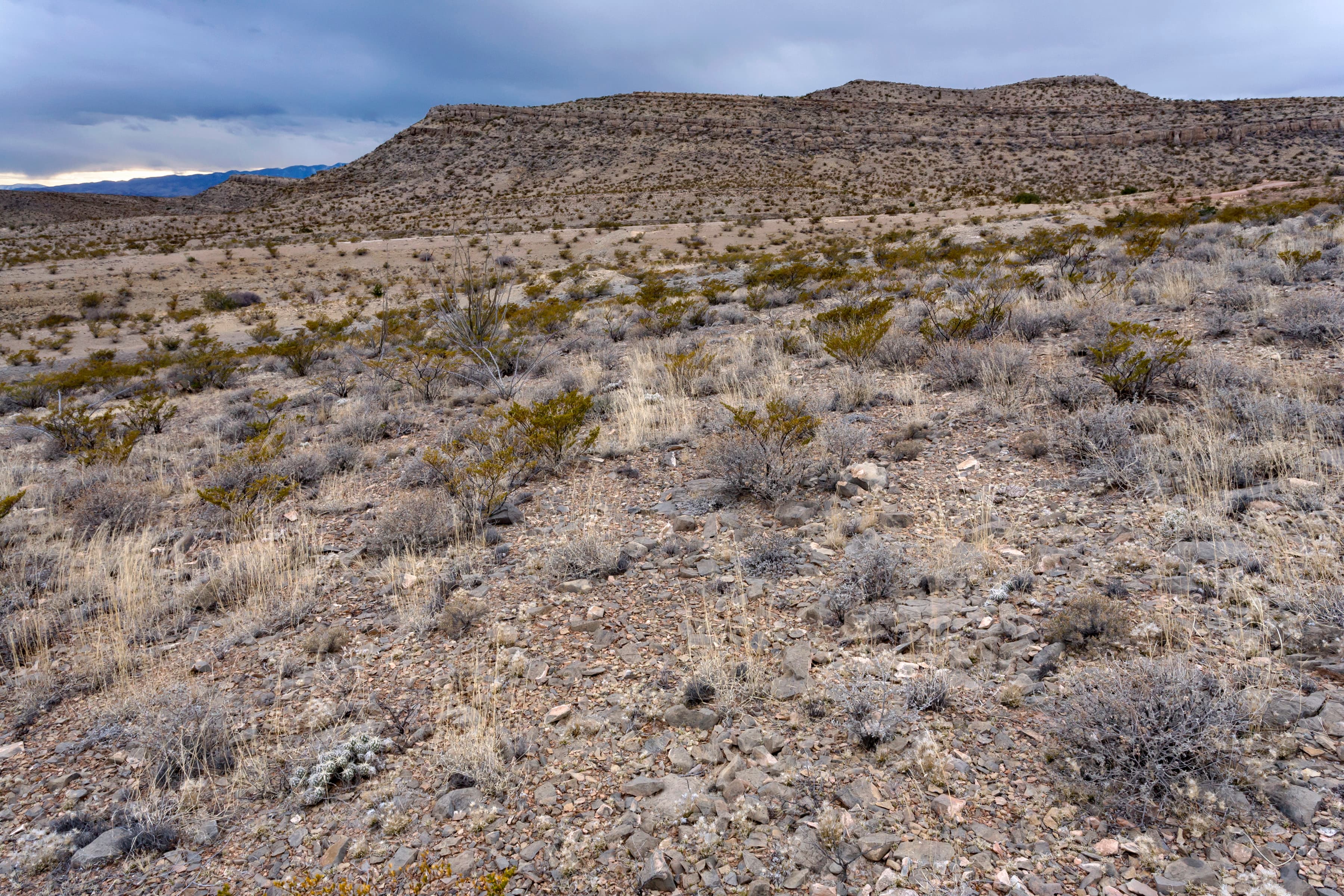 Quebradas Back Country Byway — overland route near Socorro, New Mexico, New Mexico