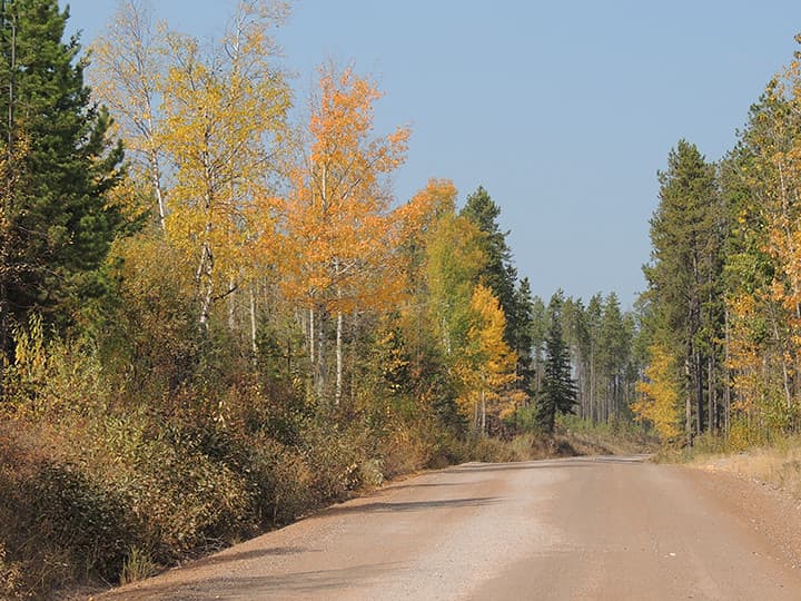 North Fork Flathead Road — overland route near Columbia Falls, Montana, Montana