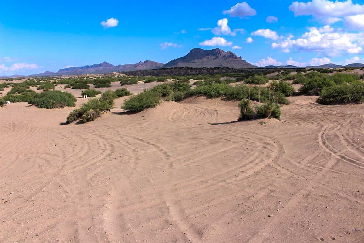 Hot Well Dunes OHV Area – Arizona Off-Roading — ohv area near Safford