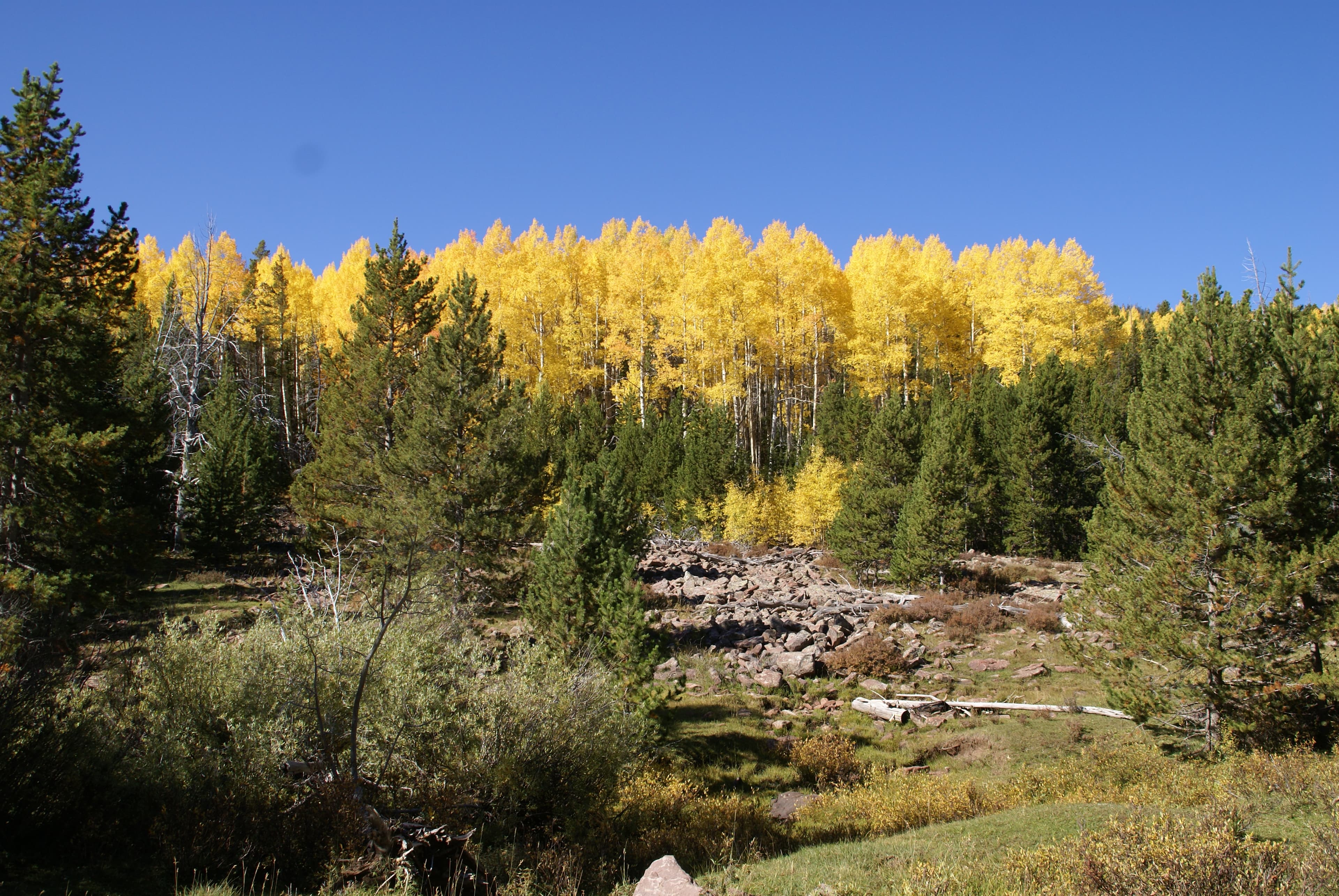 Red Cloud Loop Scenic Backway — overland route near Vernal, Utah, Utah