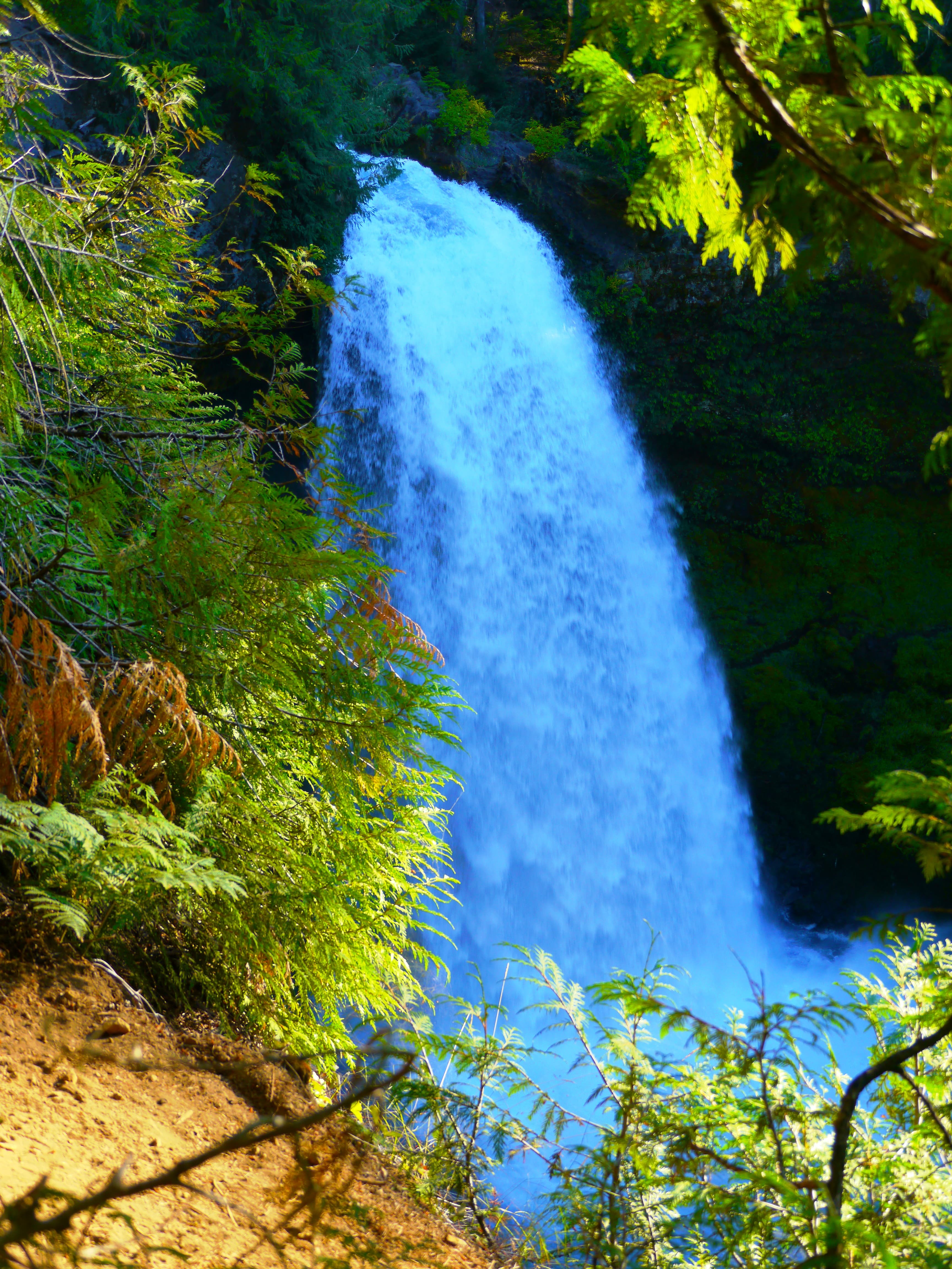 McKenzie River Scenic Byway — overland route near McKenzie Bridge, Oregon, Oregon