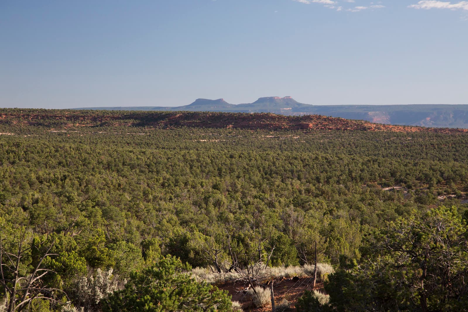 Elk Ridge Scenic Backway — overland route near Blanding, Utah, Utah