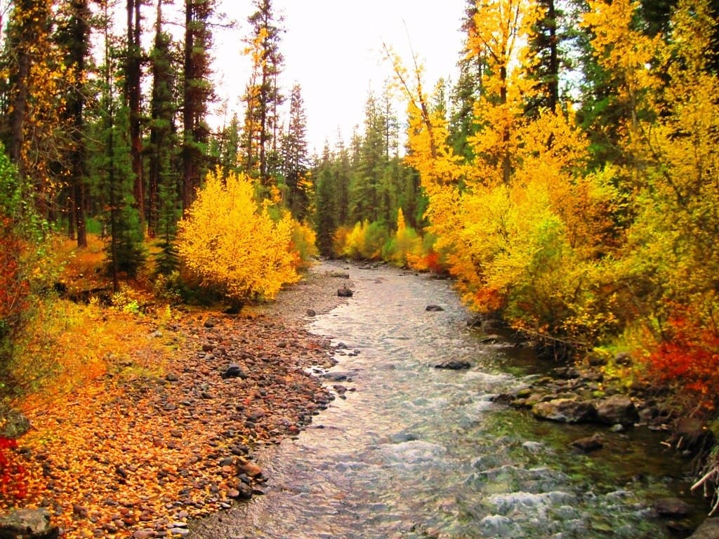 Dug Bar Road (Lower Imnaha) — overland route near Imnaha, Oregon, Oregon