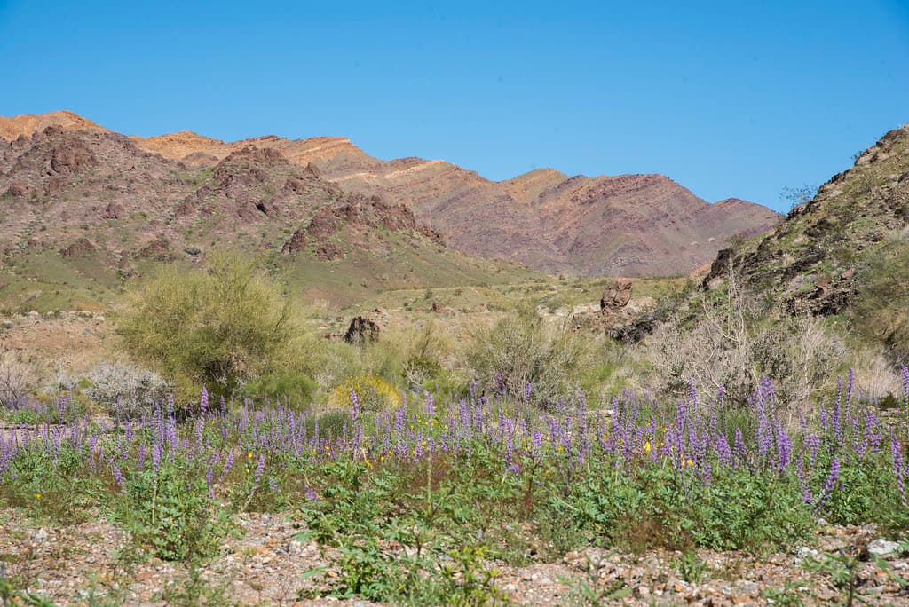 Bradshaw Trail National Back Country Byway — overland route near Blythe, California, California