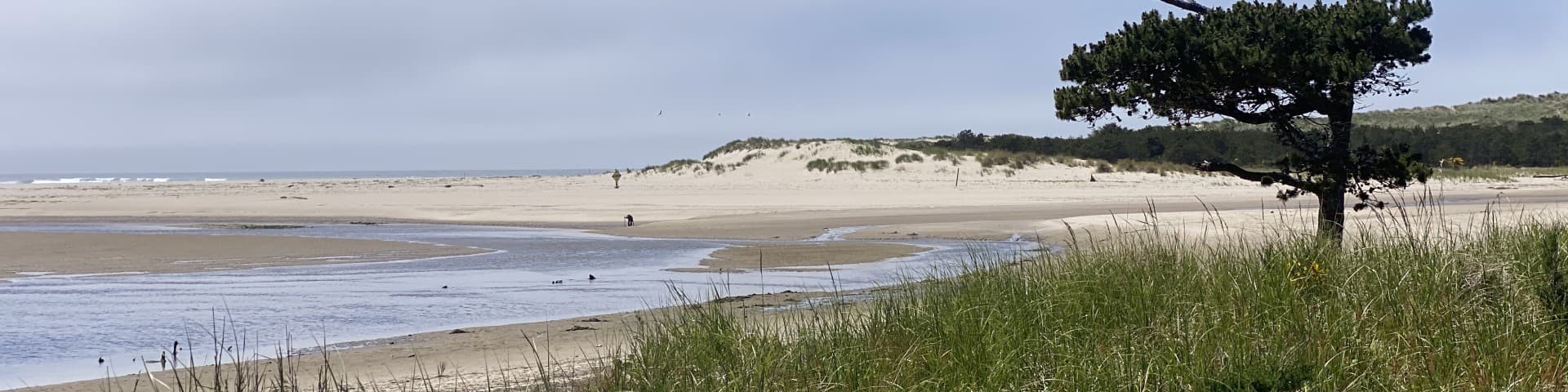 Sand Lake Recreation Area — ohv area near Pacific City, Oregon