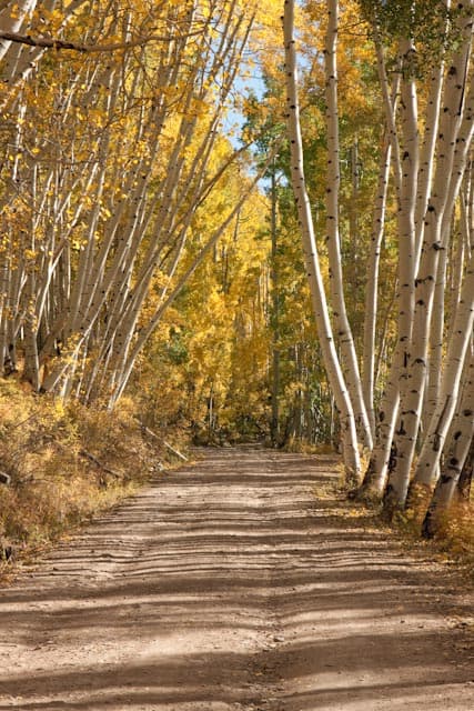Last Dollar Road — overland route near Telluride, Colorado, Colorado