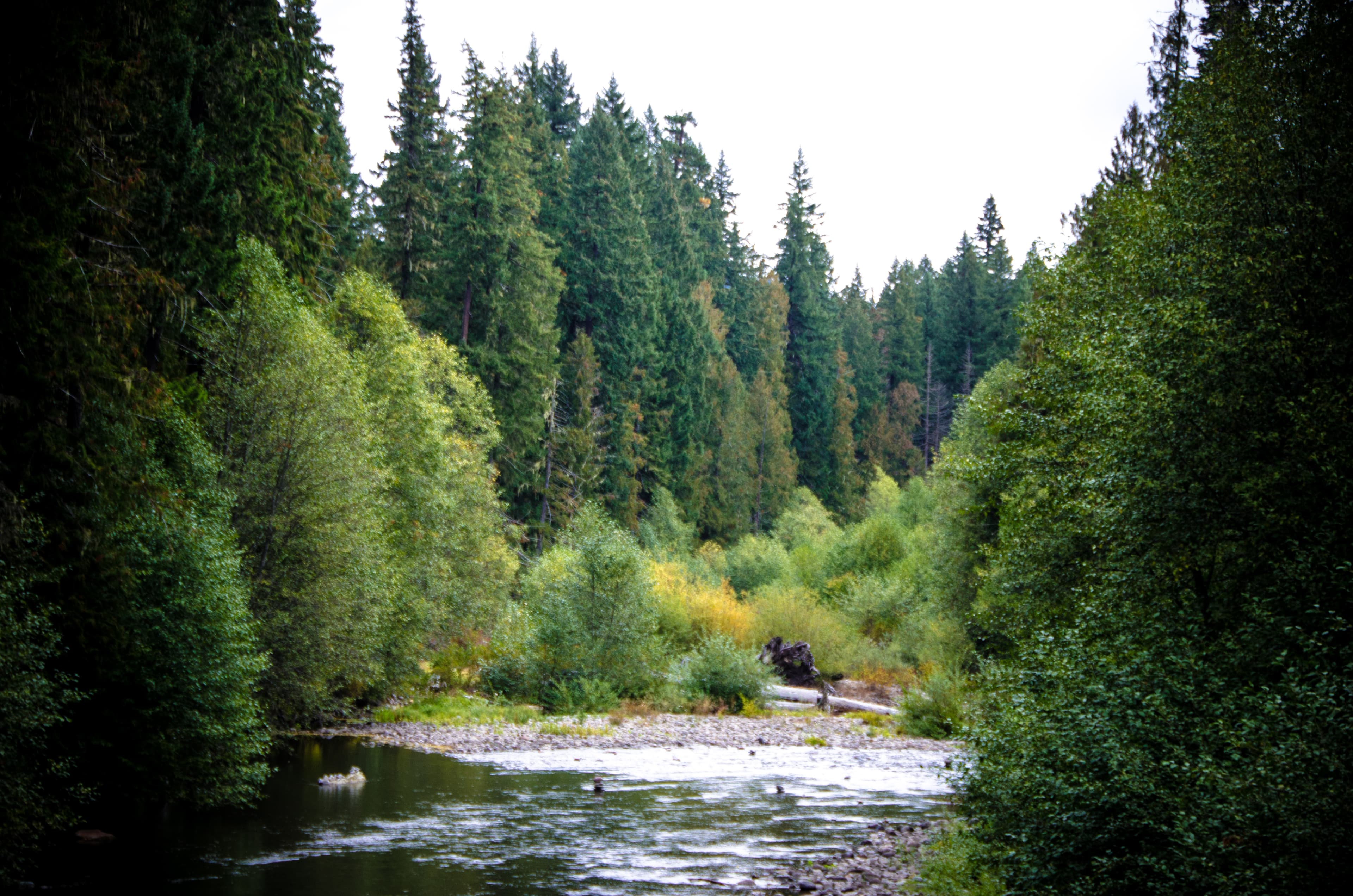 Clackamas-Breitenbush Scenic Byway (FR 46) — overland route near Estacada, Oregon, Oregon