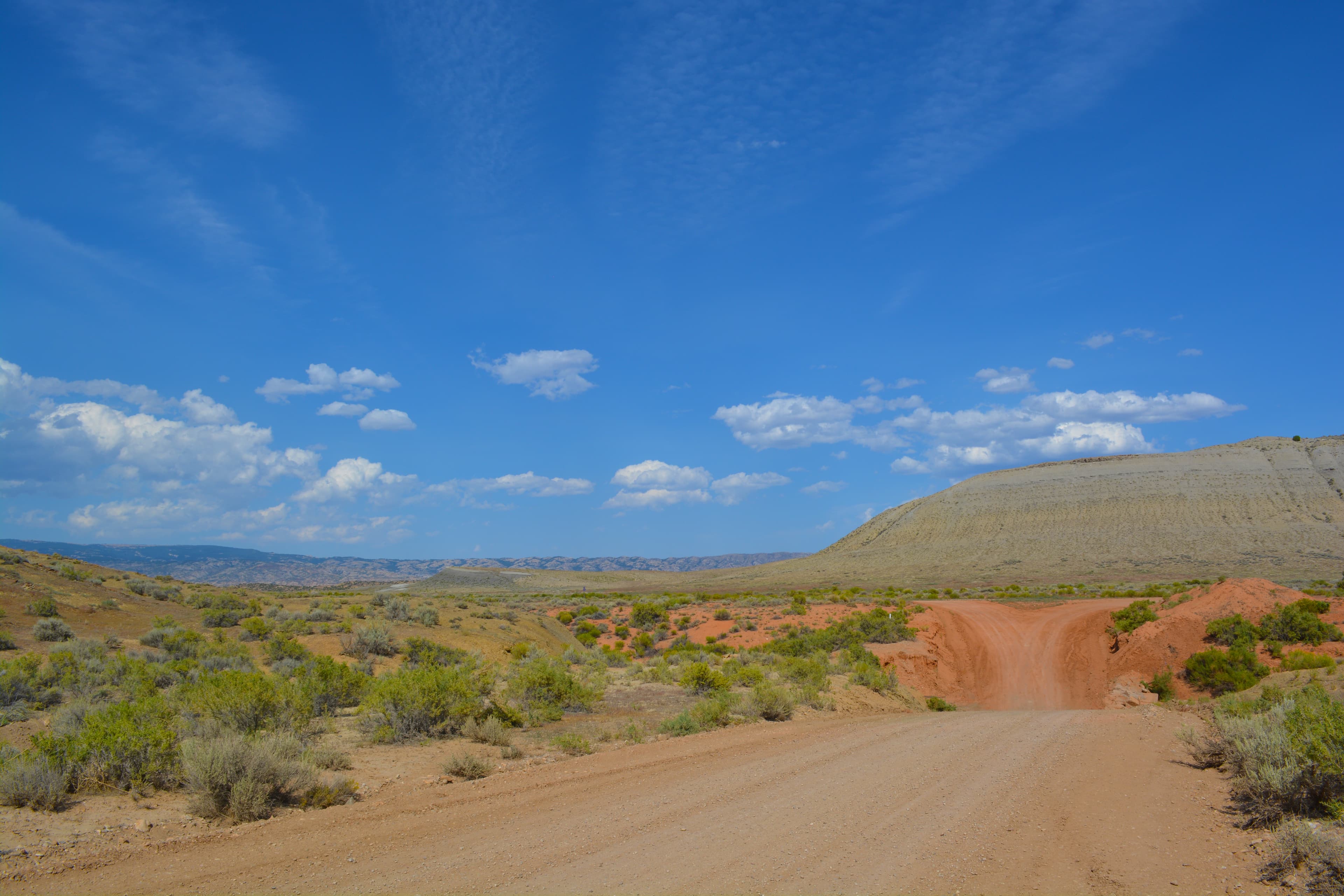 Pryor Mountains Wild Horse Range — overland route near Lovell, Wyoming, Montana