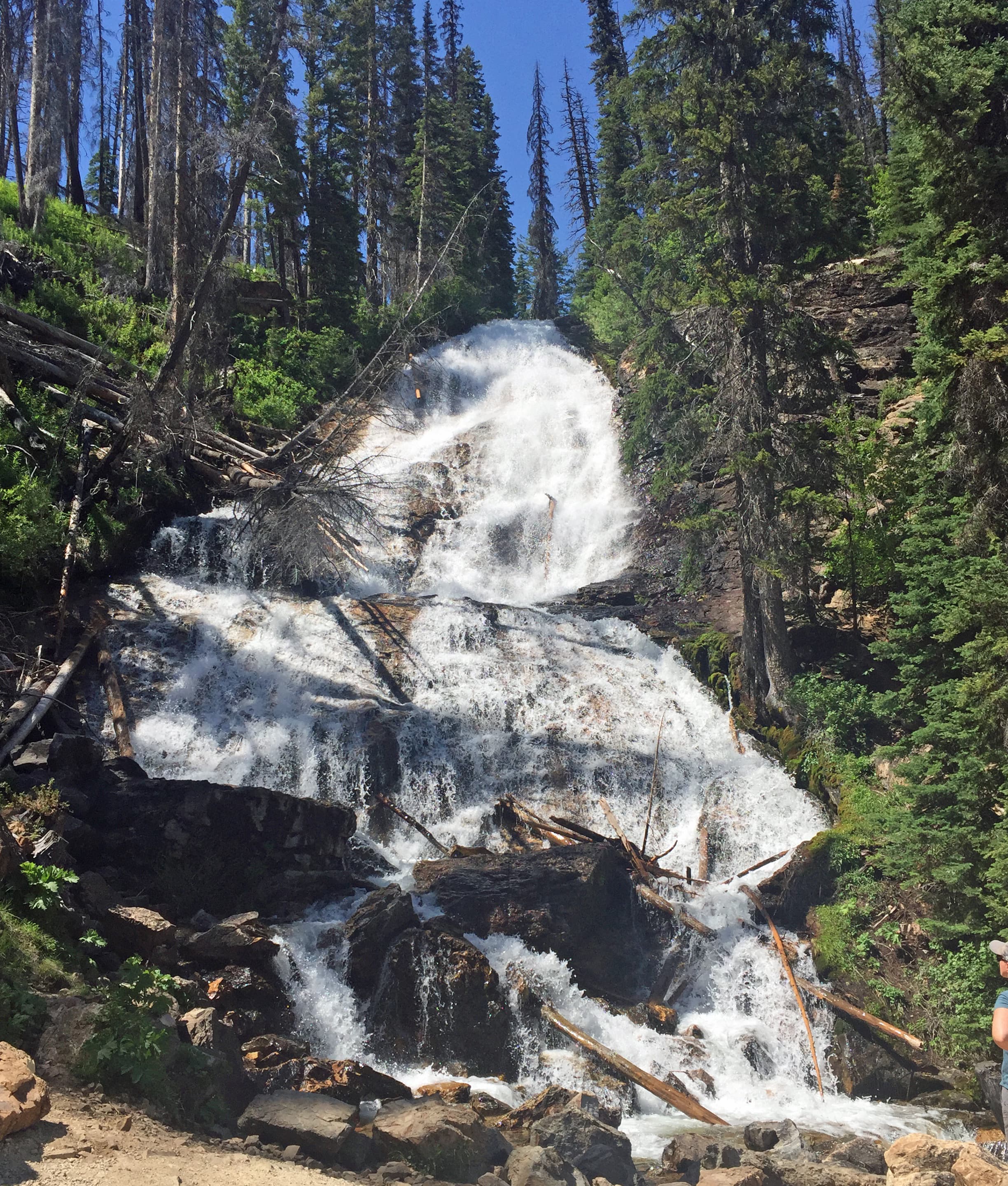 Skalkaho Pass Road — overland route near Hamilton, Montana, Montana