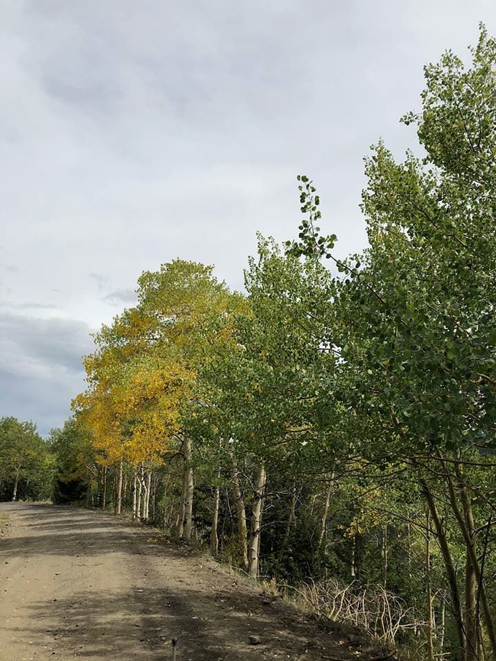 Collegiate Peaks Scenic Byway — overland route near Buena Vista, Colorado, Colorado