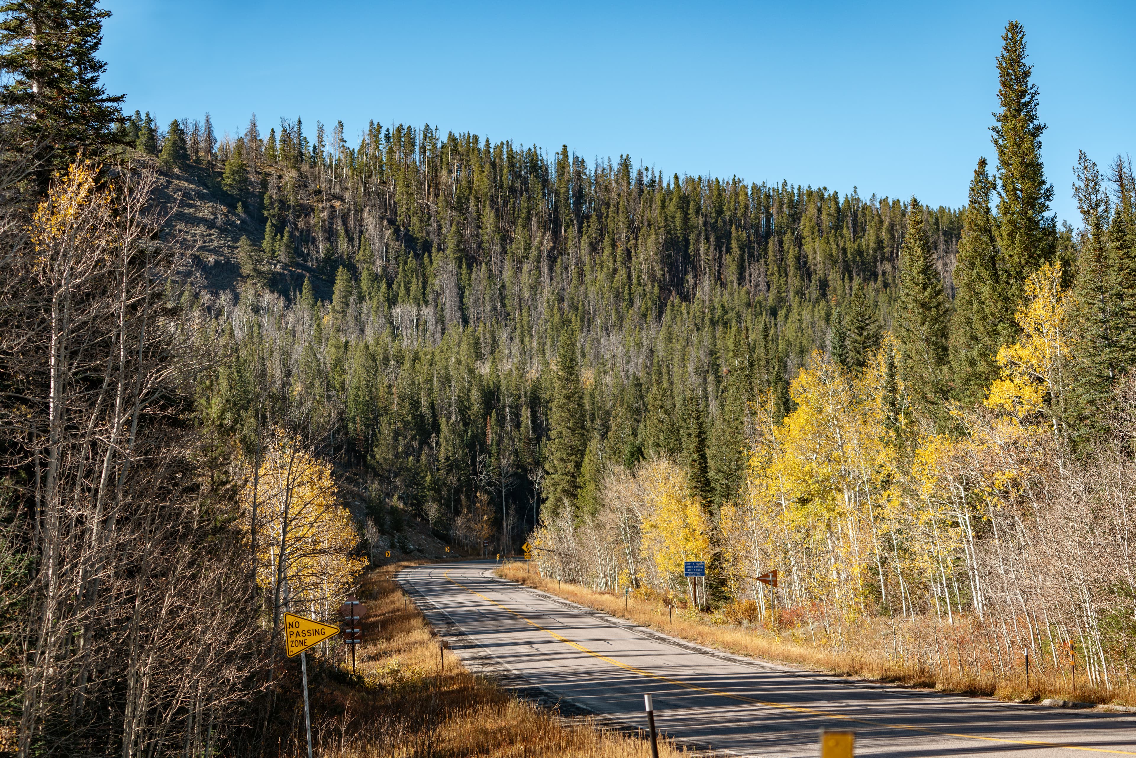 Snowy Range Scenic Byway — overland route near Centennial, Wyoming, Wyoming