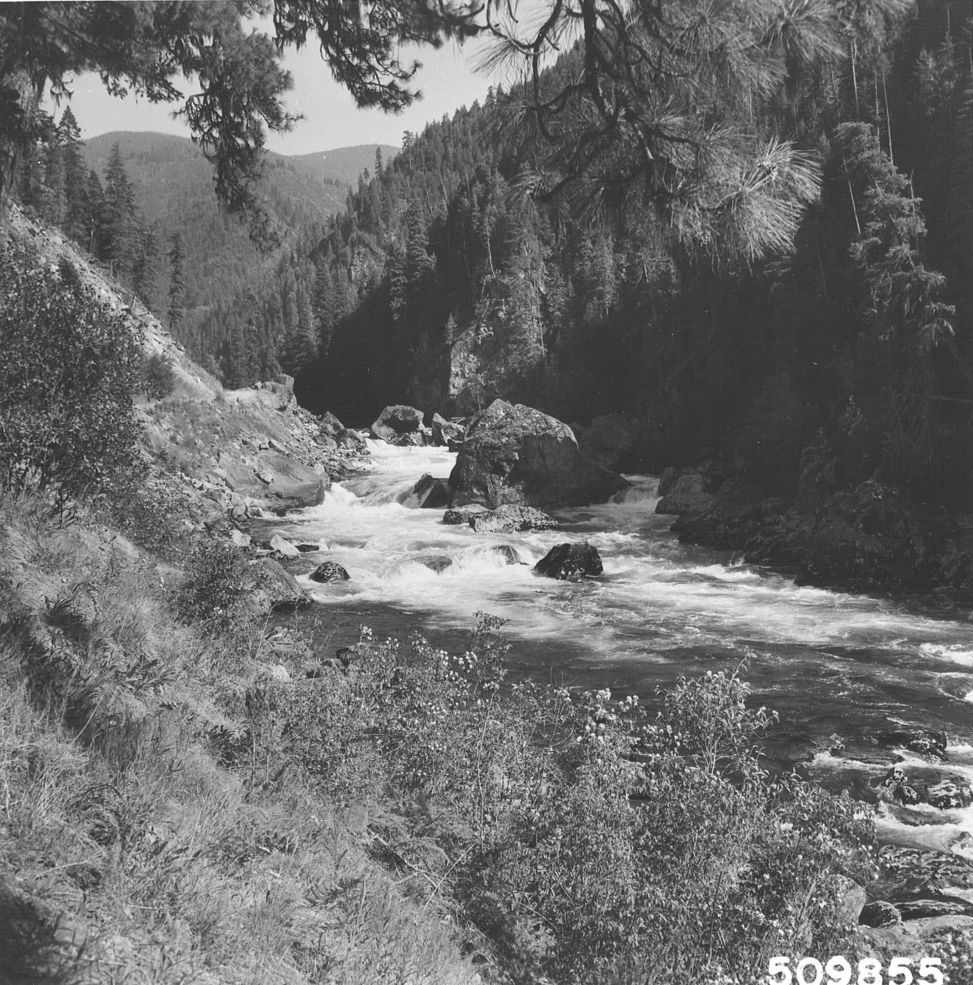 Selway River Road (FR 223) — overland route near Lowell, Idaho, Idaho