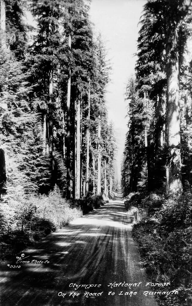 Lake Quinault Loop (North and South Shore Roads) — overland route near Quinault, Washington, Washington