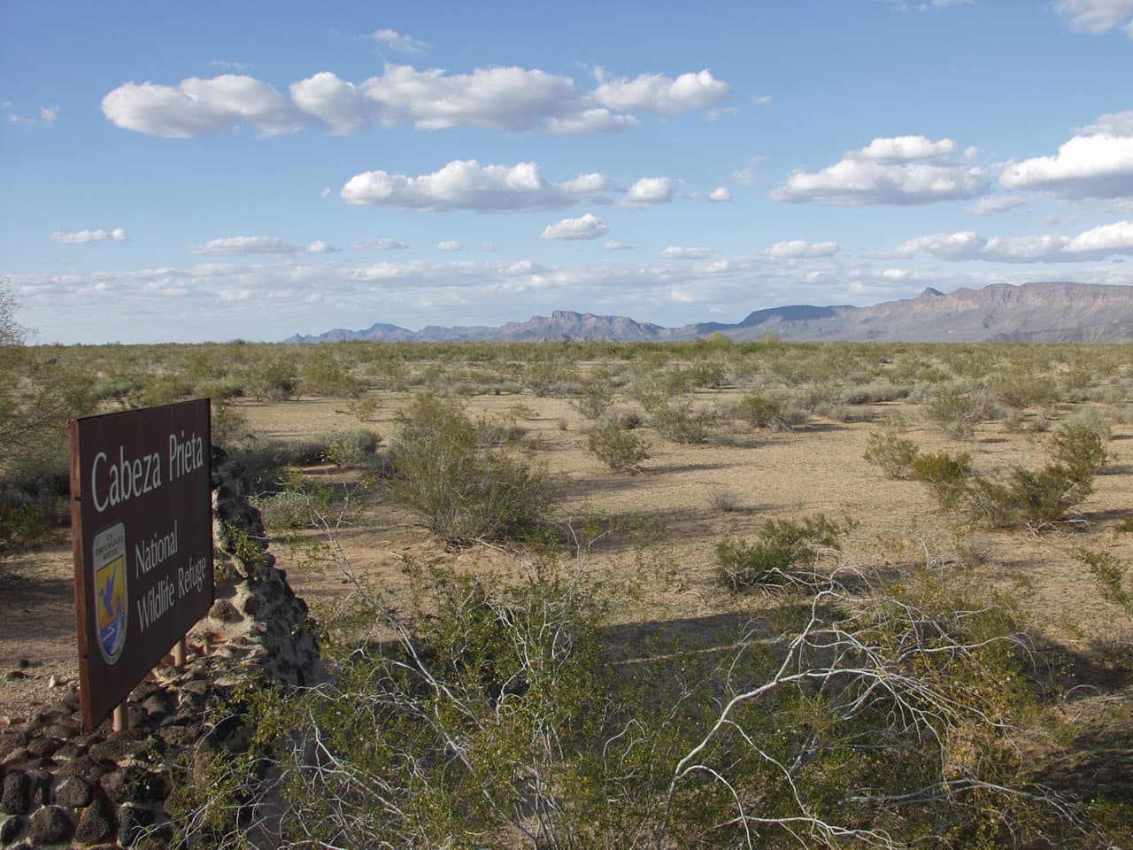 El Camino del Diablo — overland route near Ajo, Arizona (east terminus); Wellton, Arizona (west terminus), Arizona