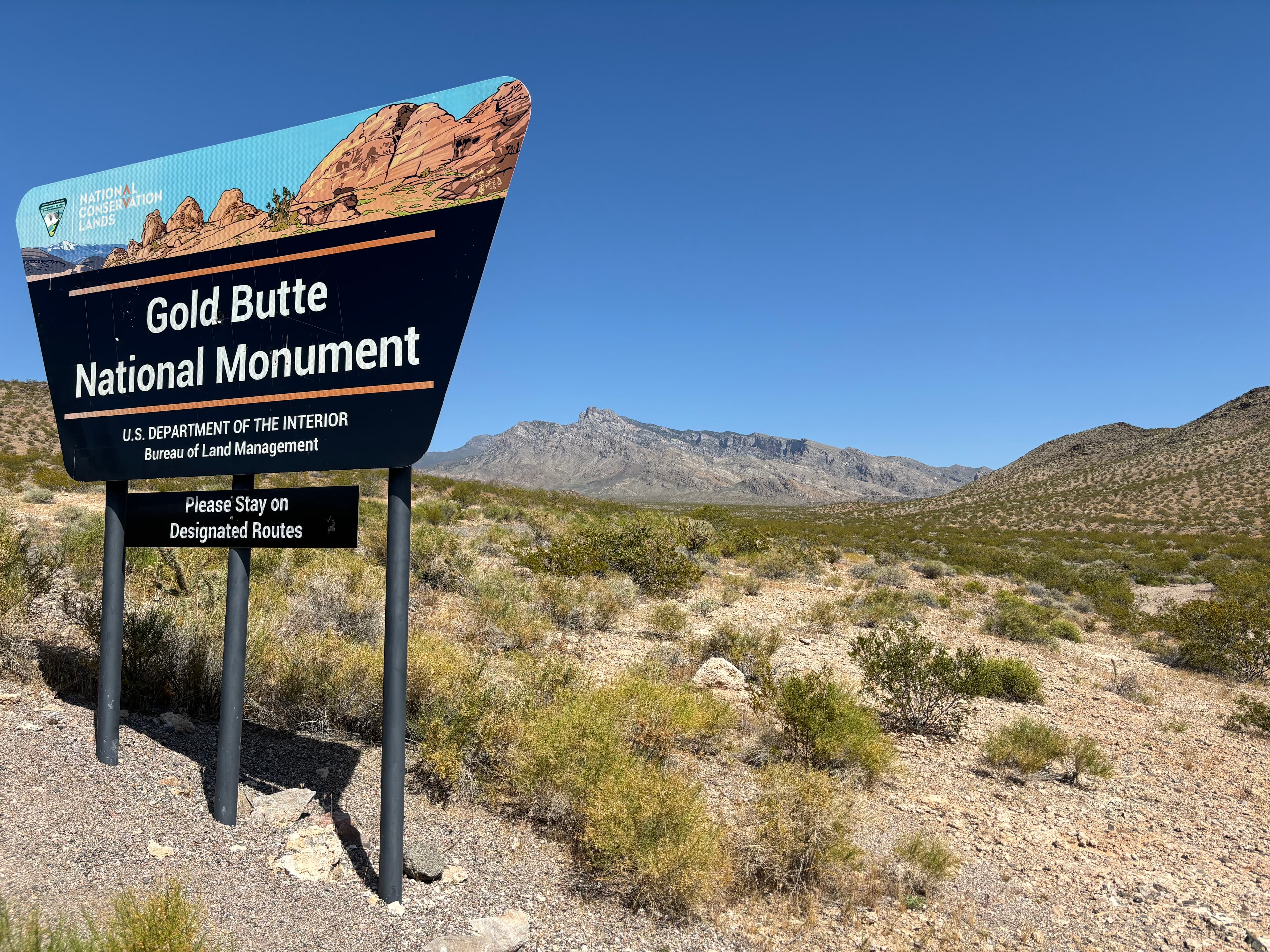 Gold Butte Back Country Byway — overland route near Mesquite, Nevada, Nevada